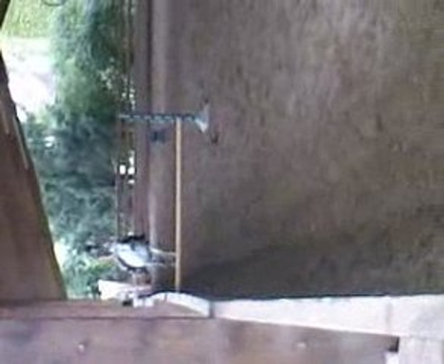 Omega && Moi en saut =P Tout petit xD