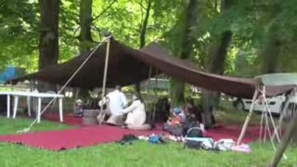 Festival en Othe / Festi'Coccinelle Jour 2/