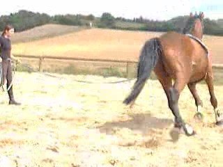 Quartz à la longe - en mode patate