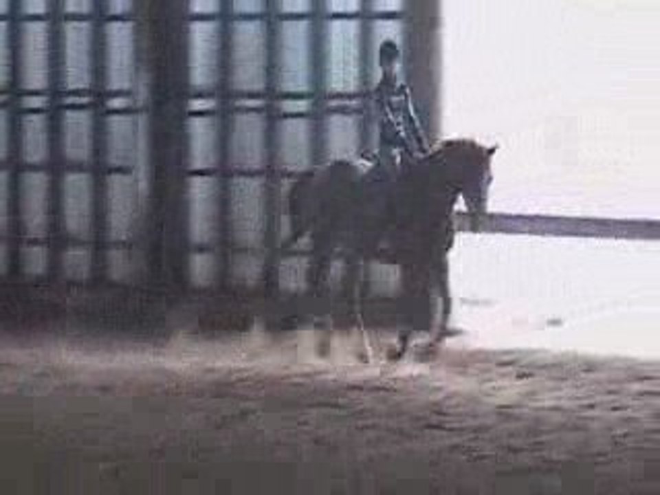 Sur le plat - octobre 2008