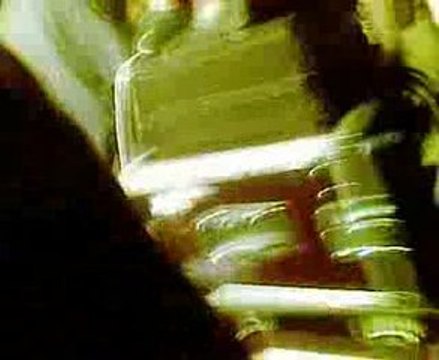 freeparty fete musique 2009, crs raid les ravers