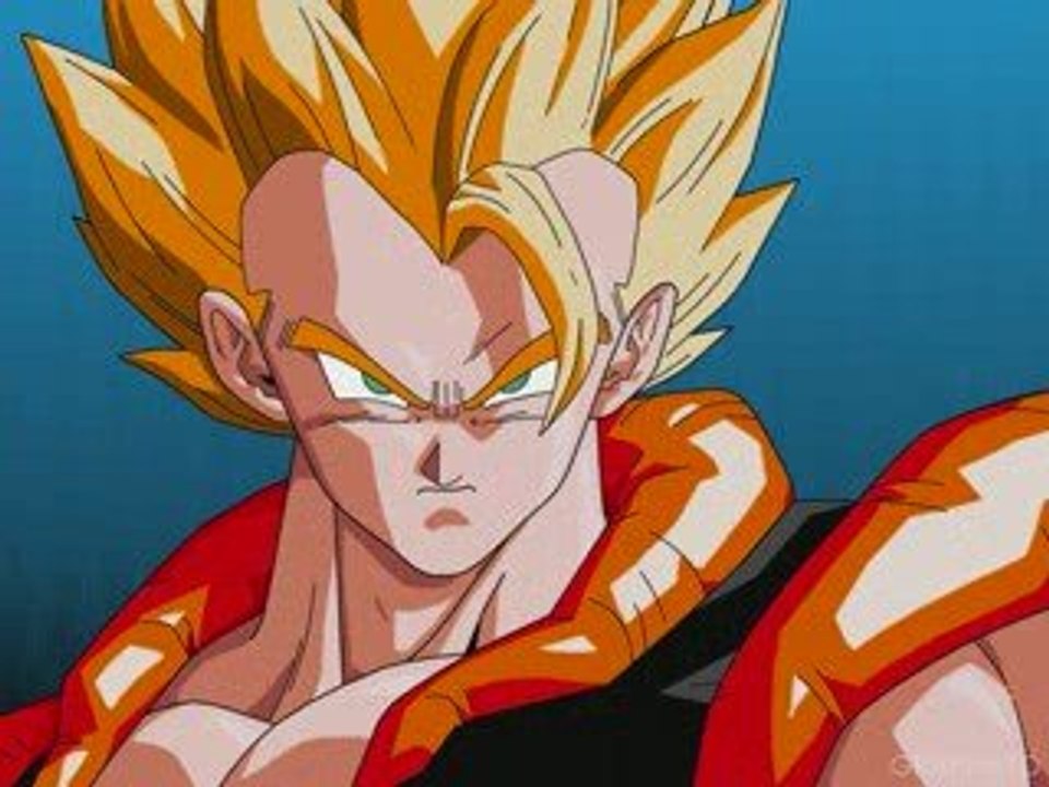 montage dbz