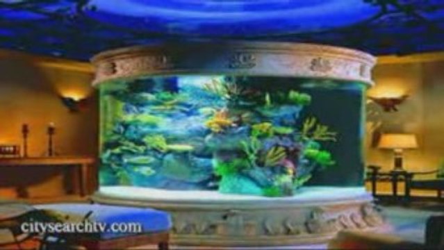 City Search TV Ocean Blue