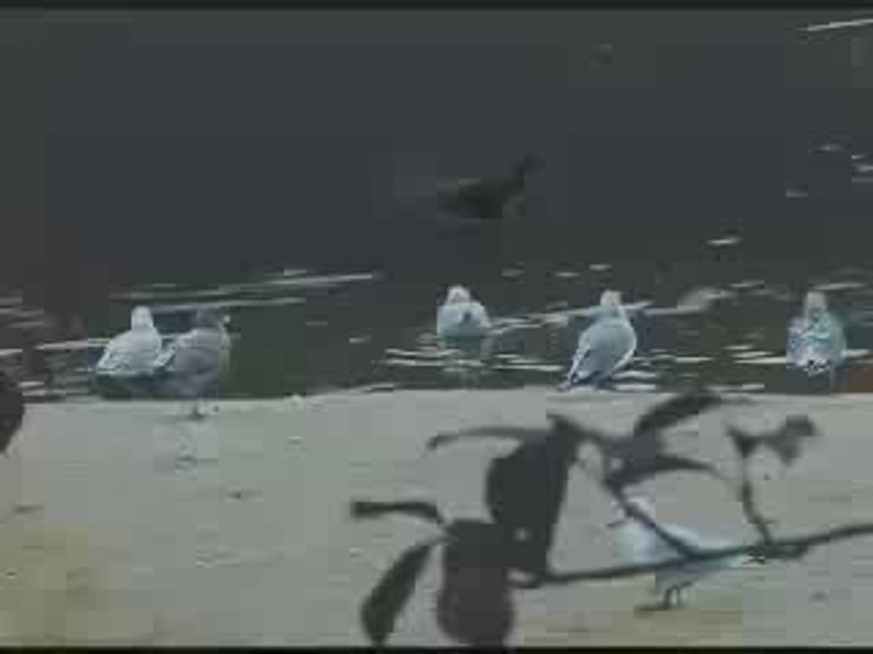 fluorescent grey - organic cadence