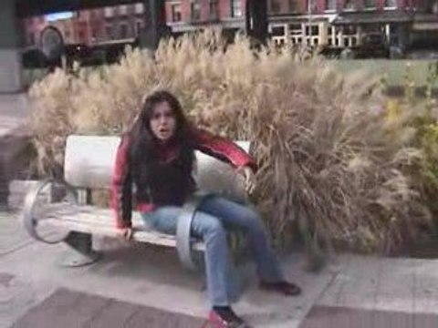 Bird Chatting - Zig Zag Wanderer