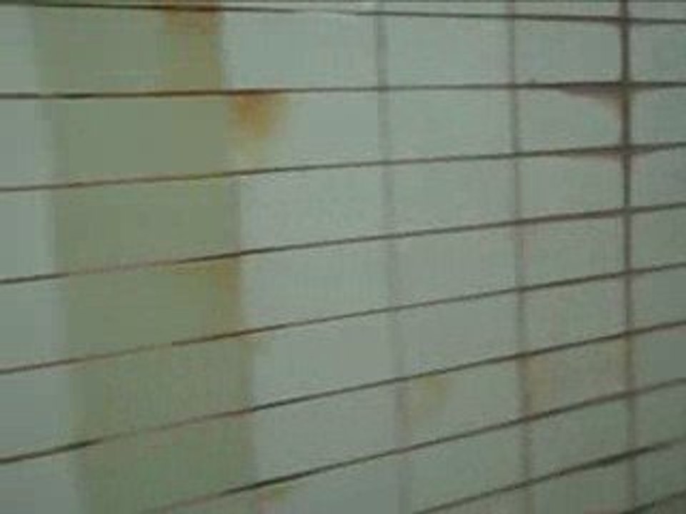 Experimental Tunnel Music in Chicago's Lincoln Park