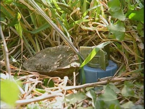 Marine nationale Les plongeurs démineurs de l'Atlantique