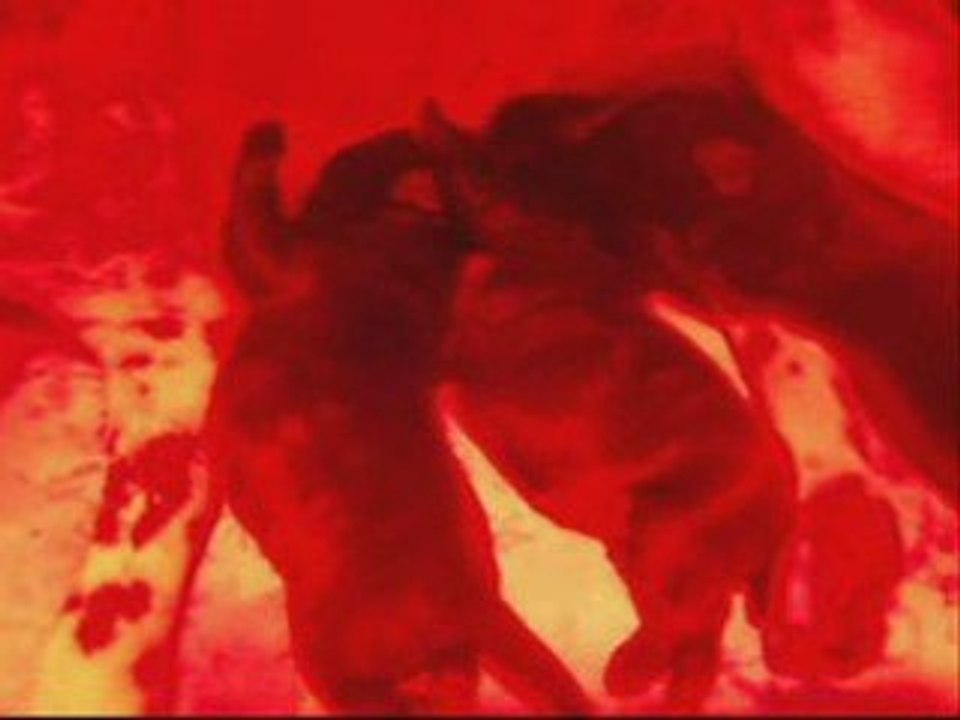 LE SOLEIL BRILLE pour tout le monde  pareil