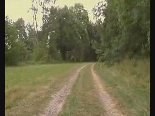 buhari hadis vs....www.beytul-hadis.fr.gd