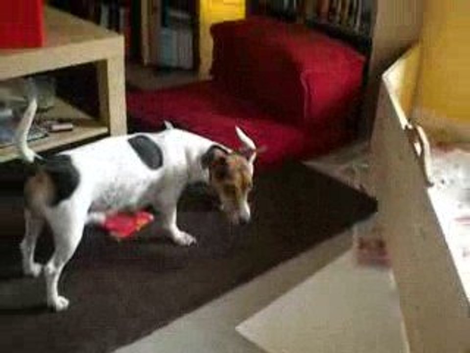 Elliott
