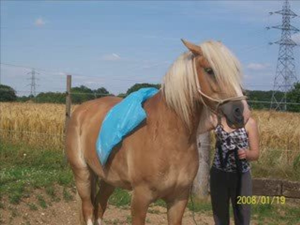 MONTAGE NONO D'AMOUR