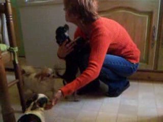 j09 juillet 2009 025