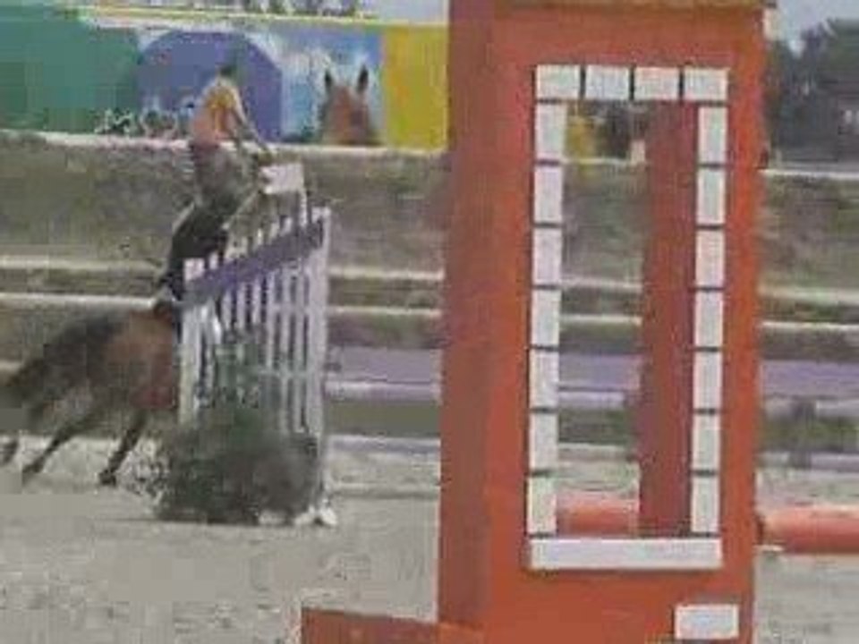 lamotte 2009
