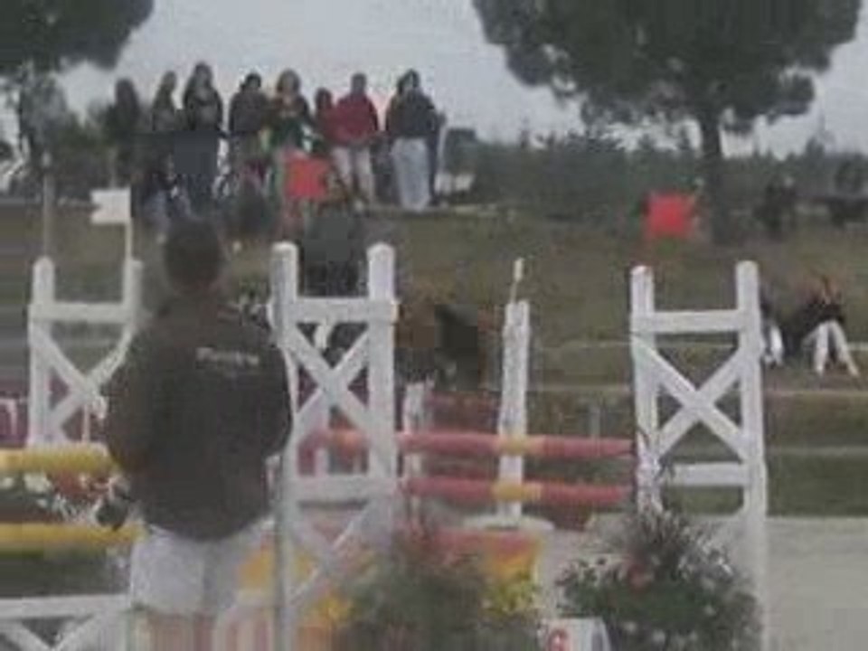 lamotte 2009