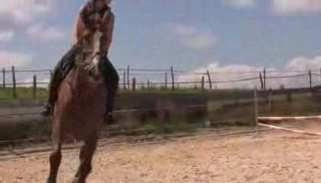 Cours de saut - Stage du 27 - 28 juin 2009 - Cottens