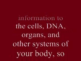 Massage Therapy|Colon Hydrotherapy|Indianapolis, IN