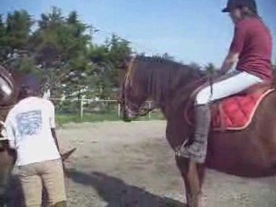 poneys stars 1.2 partie 3