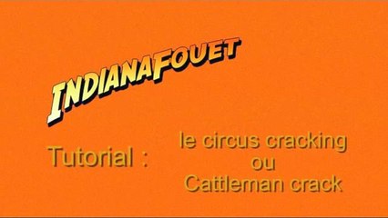 Tutorial Circus Cracking