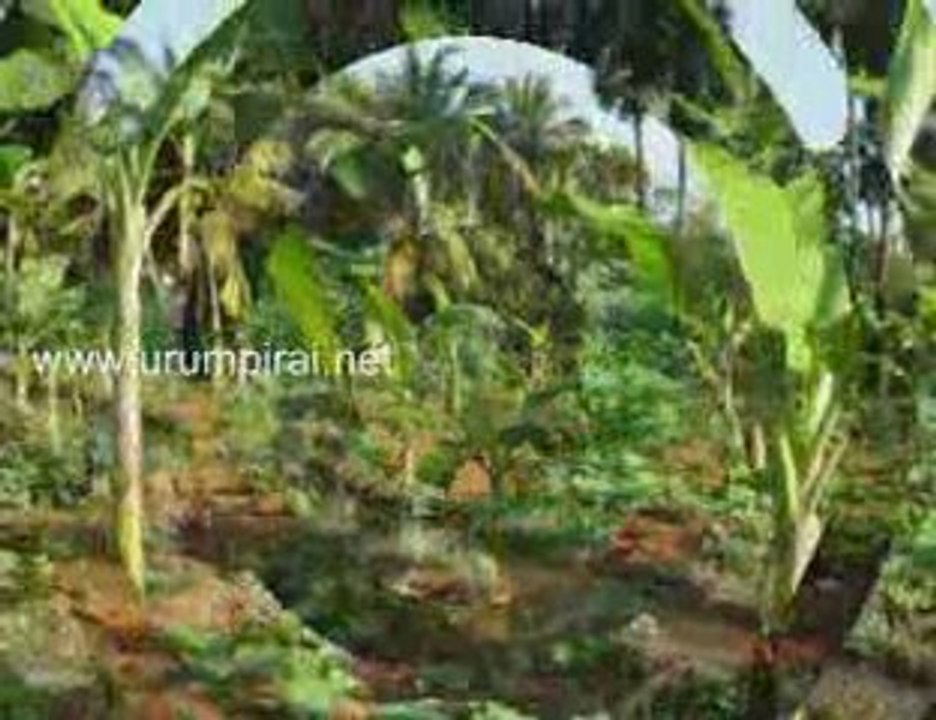 ஊரின் அழகான படங்கள் 2009