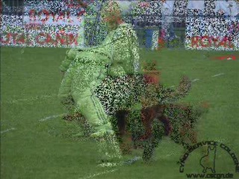 Virus du Musher championnat de France en Ring 2009