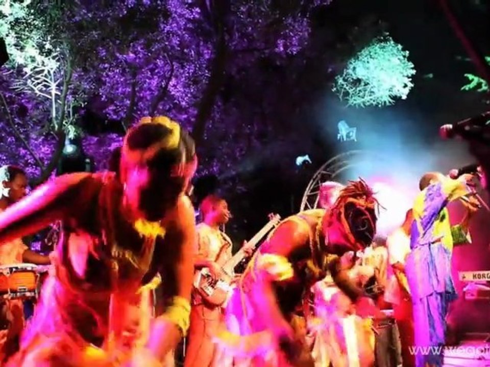 Femi Kuti - Africa for Africa - wegotalent.com