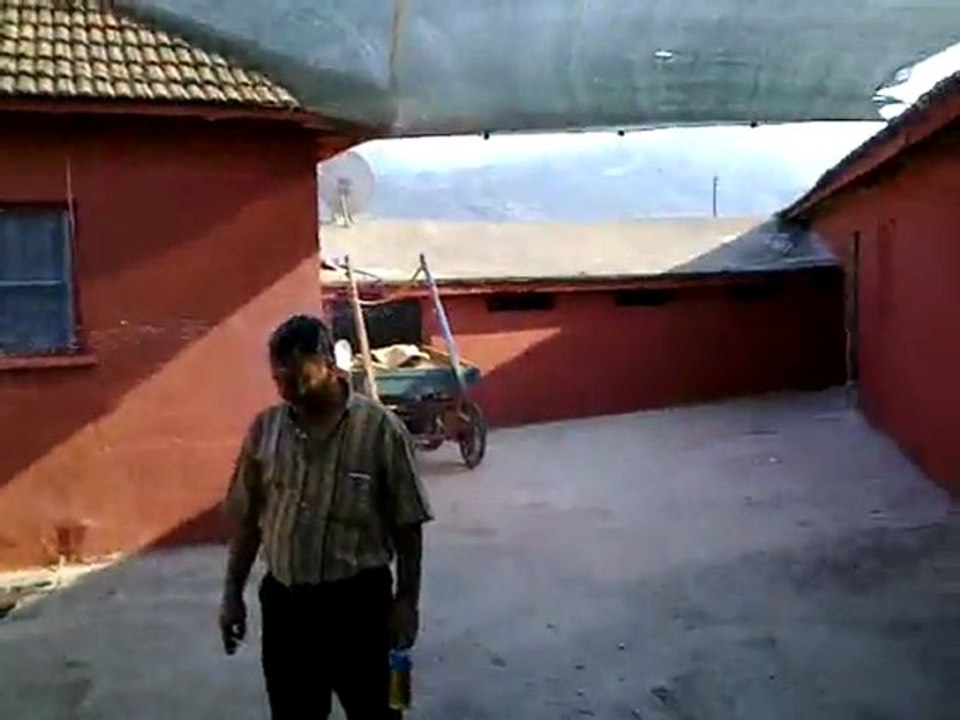 25012010053