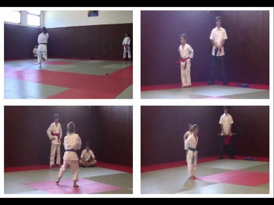 YOSHI KARATE CLUB  ( Escalquens)