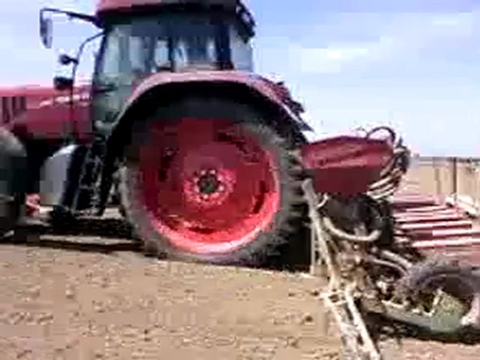Semi d'haricots
