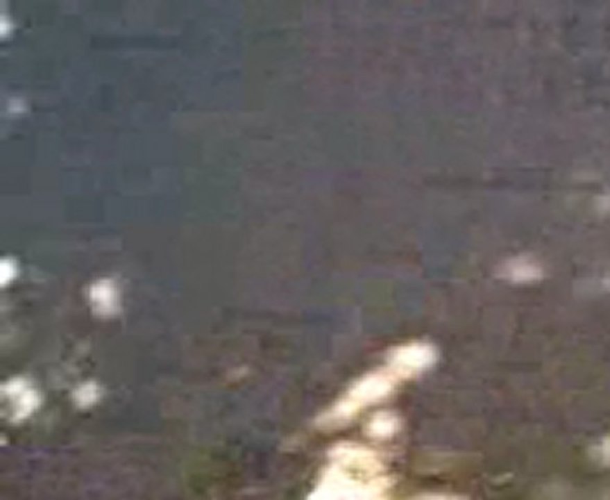Video0002