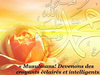 N°18 : "Musulmans! devenons des croyants éclairés et intelligent..."_Cheikh Ibrahim Mulla