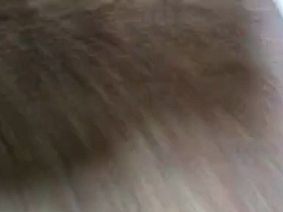 Justin Bieber Gets Runover