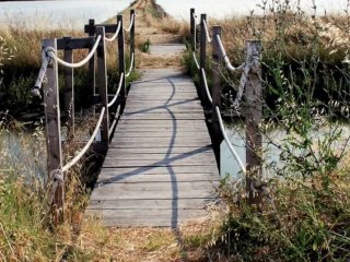Cervia