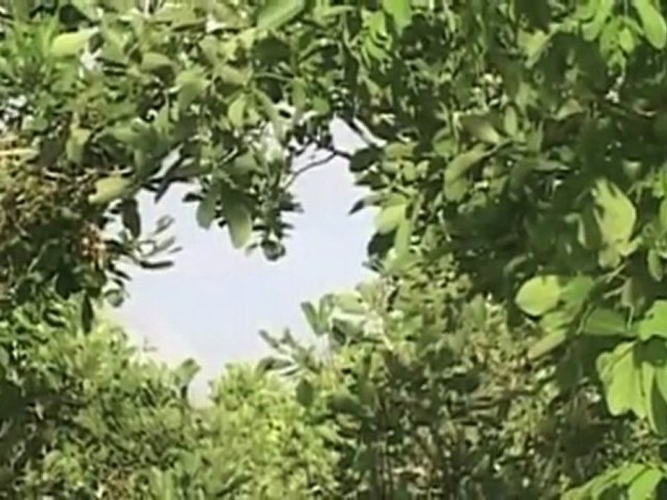 Tanzania - Serengeti National Park