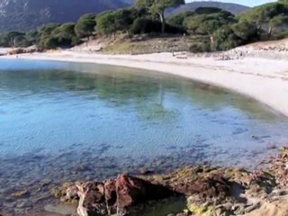 Palombaggia - Corsica Island - France