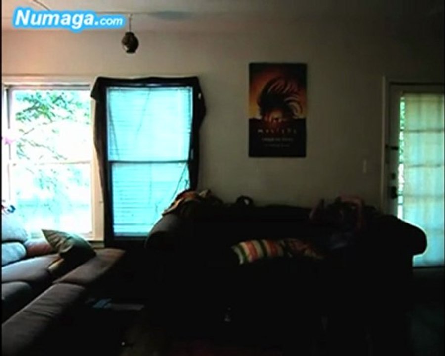 Salvia Trip Gone Wrong