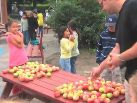 Frie Grundskoler Kgs. Lyngby Skt. Knud Lavard Skole