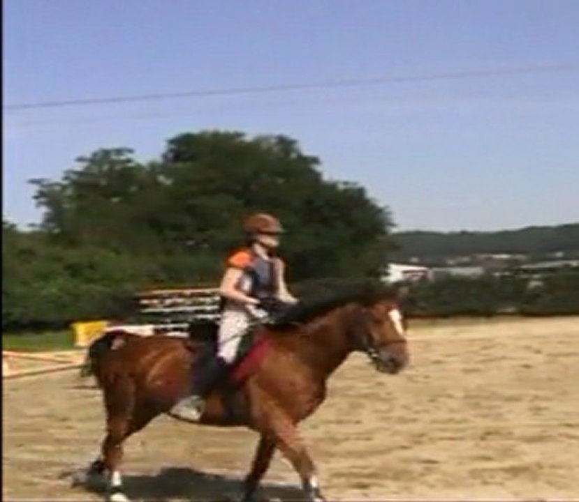 Kojak et Marion 1 concours