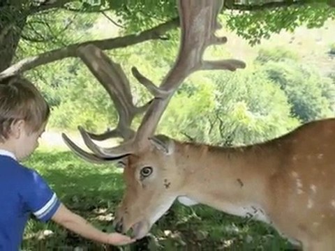 Parco Nazionale d'Abruzzo