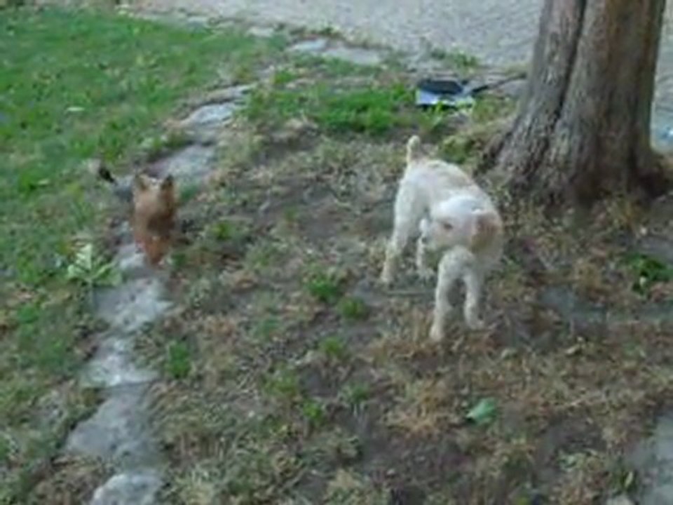 georges et gino