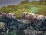 Le Galápagos Arcipelago di Colombo - Equador - UNESCO Patrimonio dell'Umanità