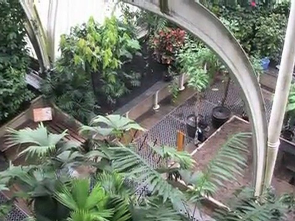 I Royal Botanic Gardens di Kew - Londra - Inghilterra  - UNESCO Patrimonio dell'Umanità