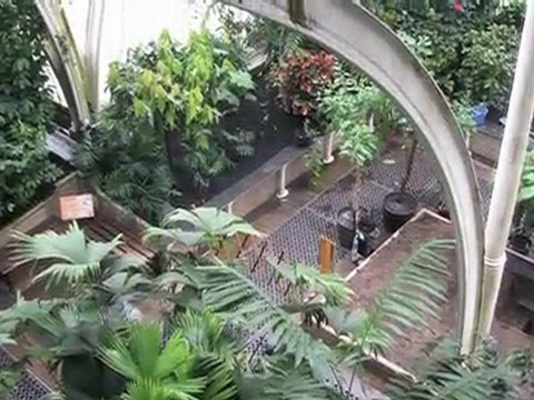 I Royal Botanic Gardens di Kew - Londra - Inghilterra - UNESCO Patrimonio dell'Umanità