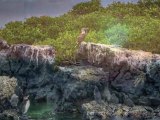 The Galápagos Islands -  Archipiélago de Colón --  Ecuador -  UNESCO World Heritage Site