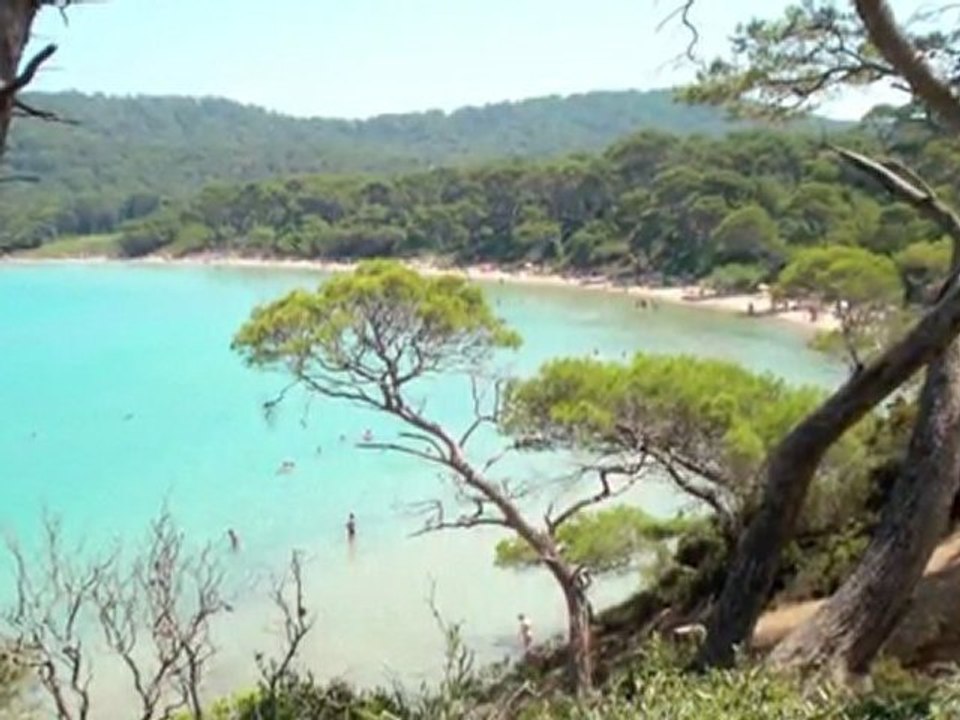 Ile  de Porquerolles  - Provence-Alpes-Côte d'Azur -  France