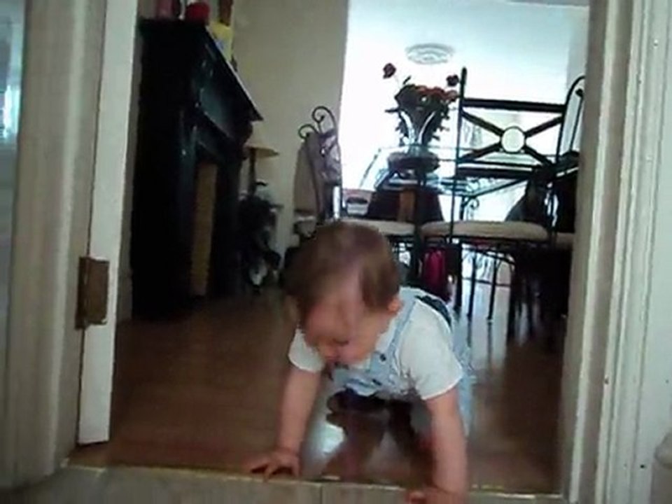 MOV01781