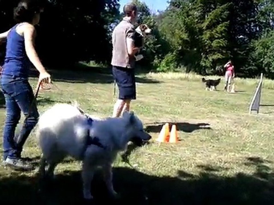 VID_20110702_104401