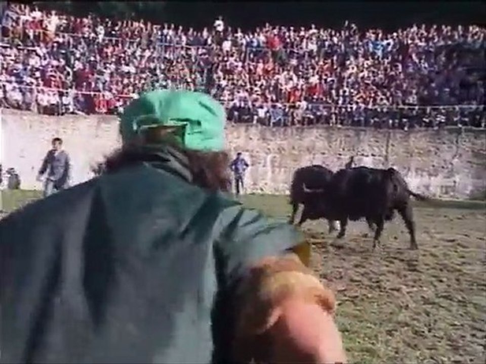 Folos des reines Partie 2