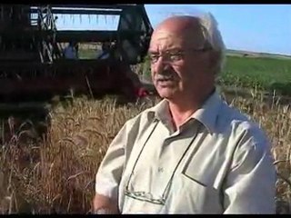 Keşan'da bugday biçimi