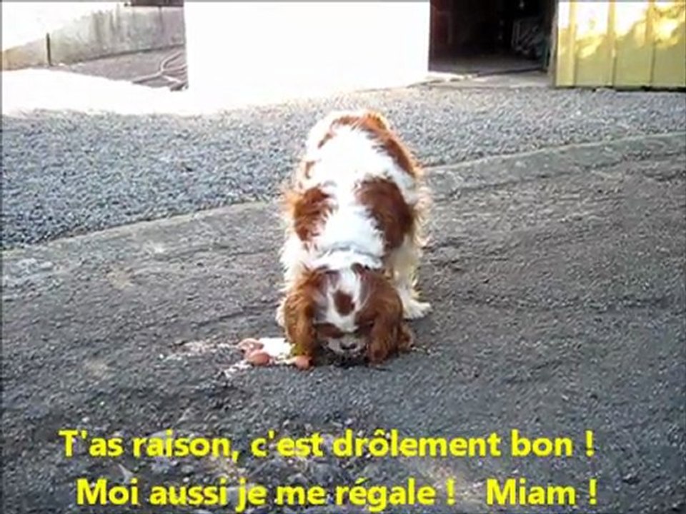 Uchka et Ulia mangent un oeuf juin 2011