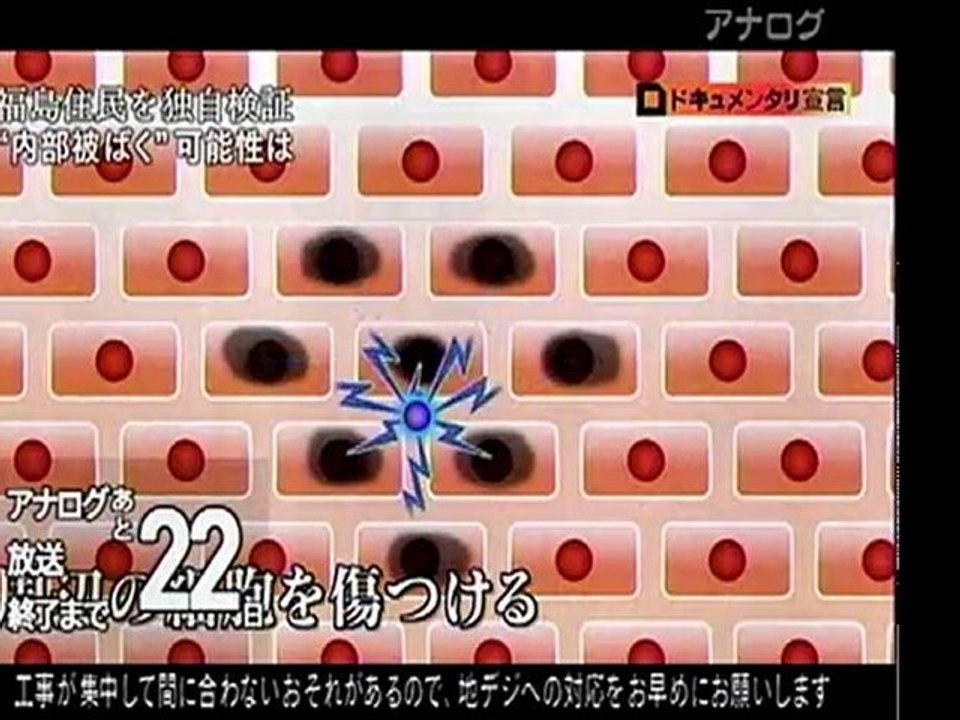福島県民を独自検証、内部被ばくの可能性は
